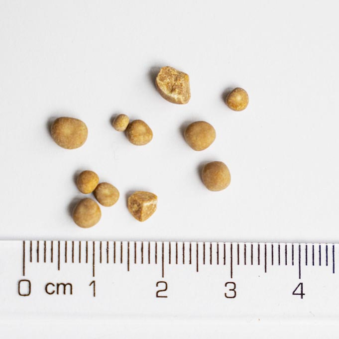 Blasensteine mit Lineal