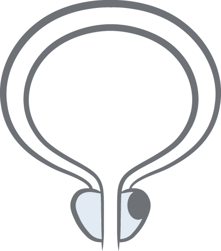 Icon Prostatakarzinom