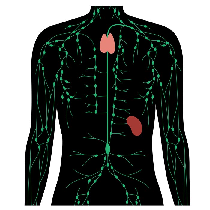 Übersicht zur Lymphchirurgie