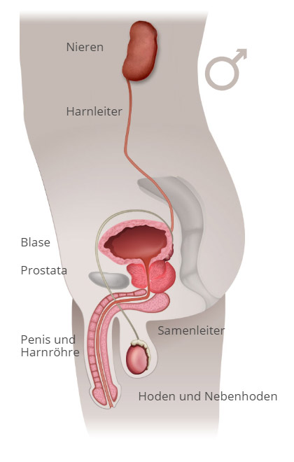 A prostatitis kezelése 100%