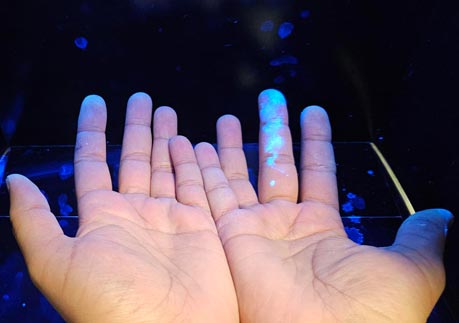 Aktionstag der Händehygiene 2024: Prävention im Fokus