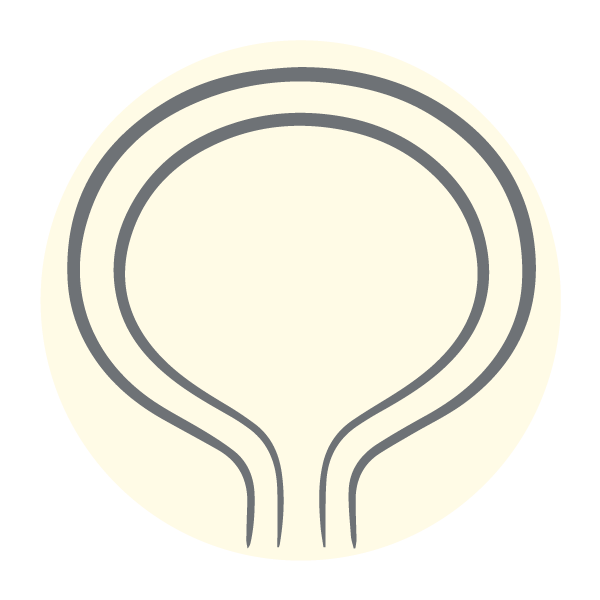 Icon Harnblase