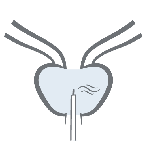 Rezum Icon