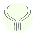 Icon Harnroehre