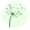 Icon Palliativ