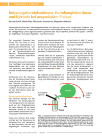 Warum ein Beckenbodenprolaps zu Inkontinenz und Harndrang führen kann