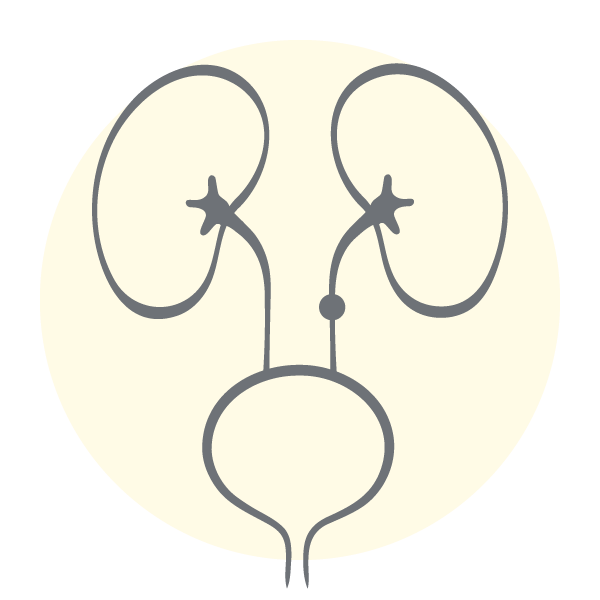 Icon Harnsteinzentrum