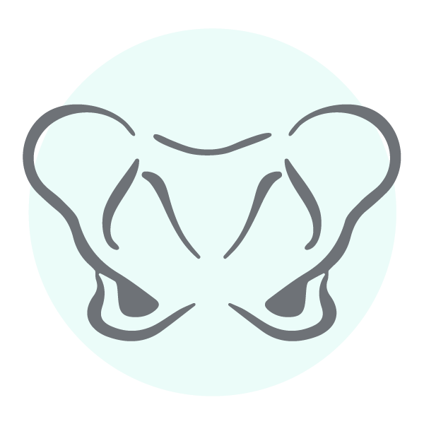 Icon Beckenboden