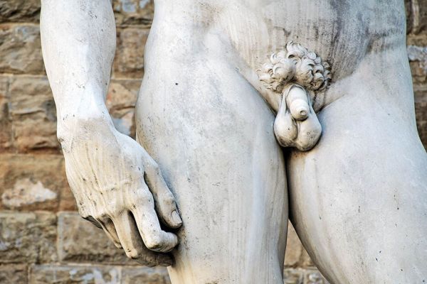 Statue des David-Genitalbereich