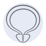 Icon Prostata BPH