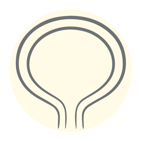 Icon Harnblase