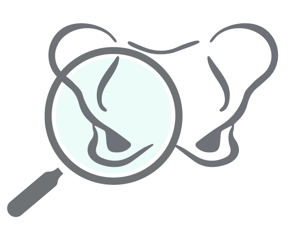 Beckenboden Diagnostik Icon